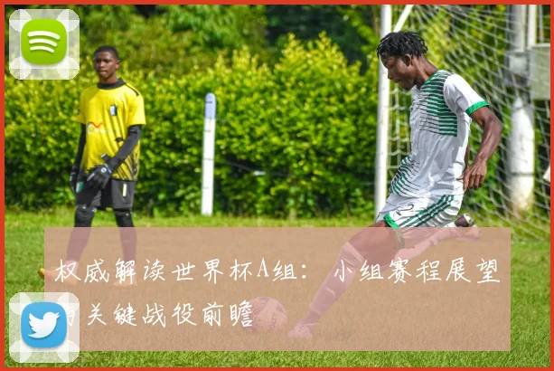权威解读世界杯A组：小组赛程展望与关键战役前瞻